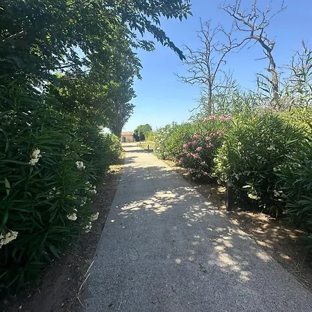 Maison Robinson Entre Et Lagune Villa